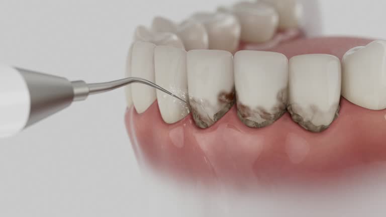 Reliable Dental contractor in Shawneeland, VA by Dentist Open Now